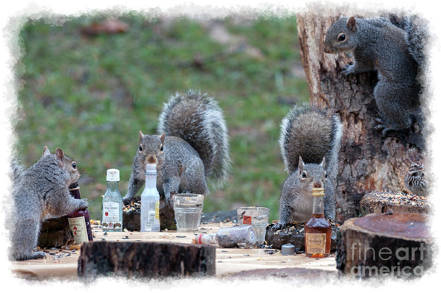 party-at-the-grey-squirrel-frat-house-dan-friend.jpg
