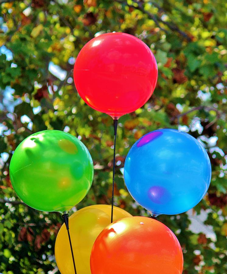 Party Balloons Photograph by Cynthia Guinn