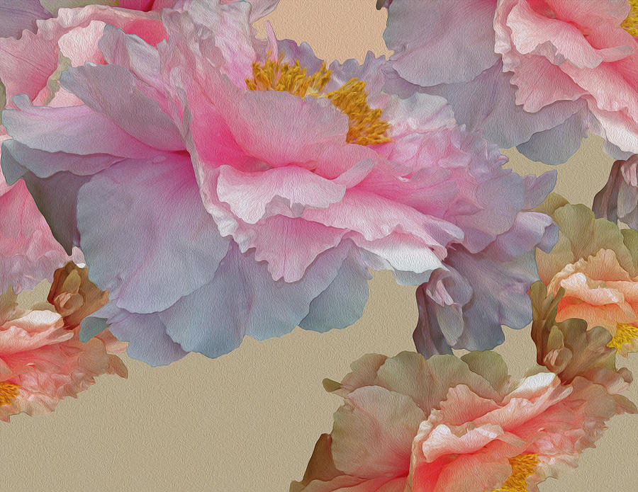 Flower Digital Art - Pas De Deux Peony Multitide by Lynda Lehmann
