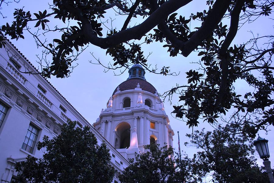 City Photograph - Pasadena City Hall Moody Trees by Matt Quest