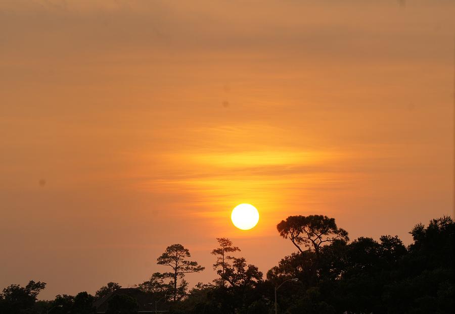 Pascagoula Photograph - Pascagoula Sunset by Rosalin Moss Pascagoula Photograph - Pascagoula Sunset by Rosalin Moss