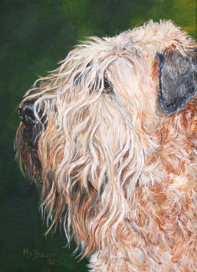 Dog Painting - Pascal, Soft Coated Wheaten Terrier by Monika Brauer