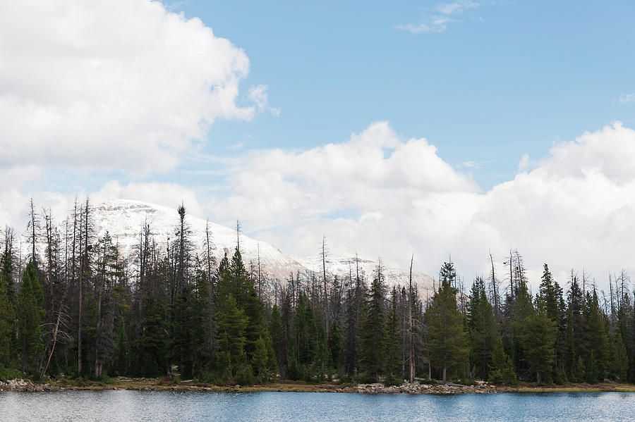 Pass Lake view Photograph by Ami Poindexter Pixels