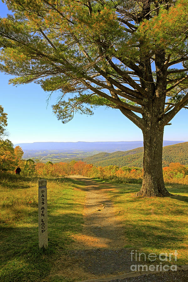 Pass Mountain Loop Trail Skyline Drive Shenandoah National Park Photograph by Louise Heusinkveld