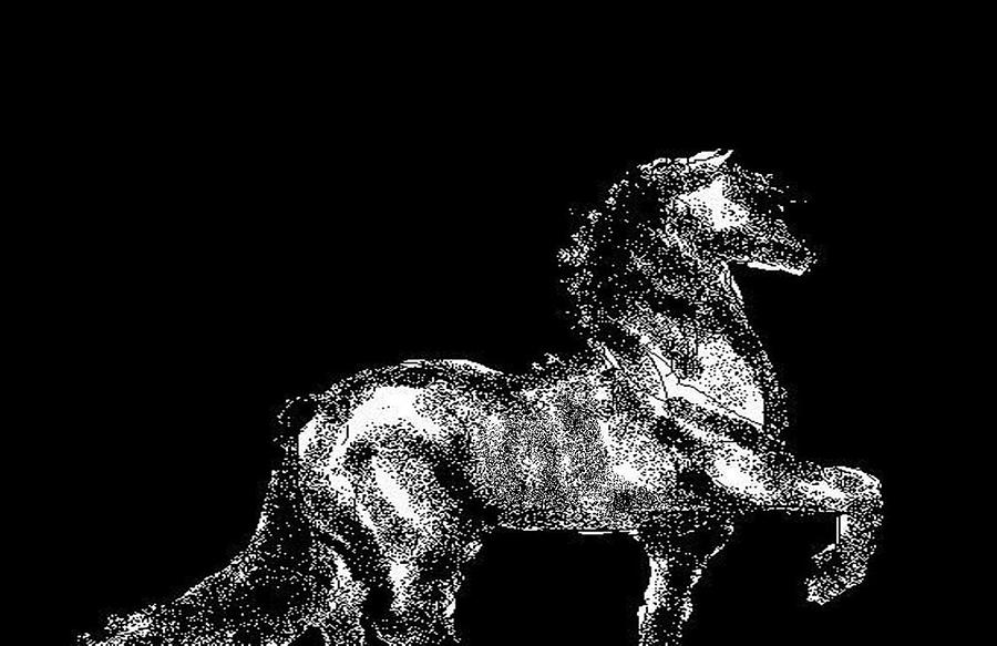 Horse Digital Art - Passage by Carole Boyd