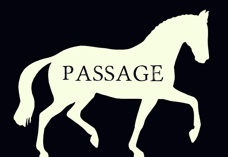 Horse Photograph - Passage Negative by Dressage Design