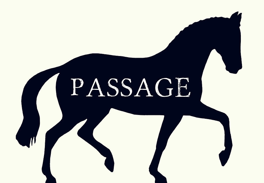 Passage Silhouette Photograph by Dressage Design