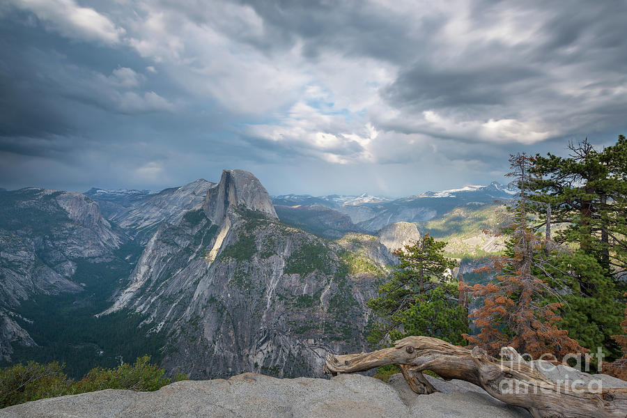 Tree Photograph - Passing Clouds Over Half Dome by Michael Ver Sprill