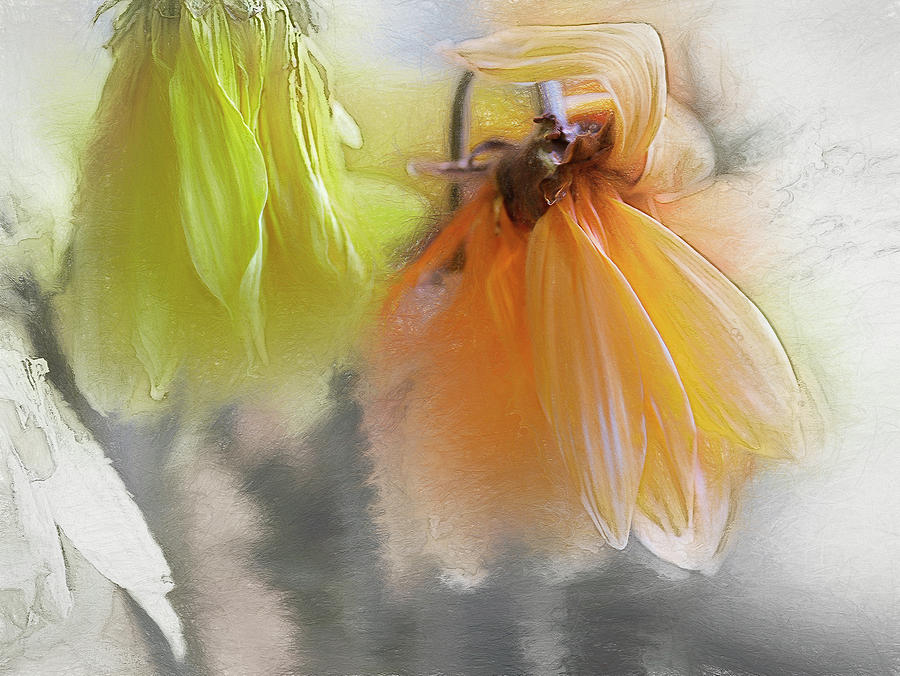Flower Digital Art - Passing Flowers by DonaRose