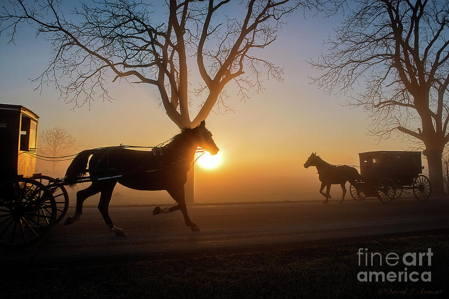 Amish Photograph - Passing in the Dark by David Arment