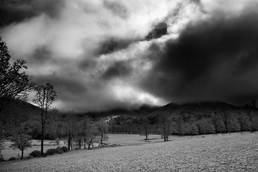 Passing Snow In North Carolina in Black and White Photograph by Greg and Chrystal Mimbs