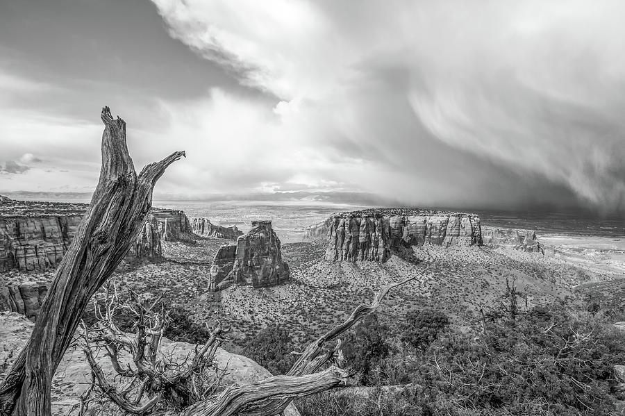 Spring Photograph - Passing Storm in Black and White by Jeff Stoddart