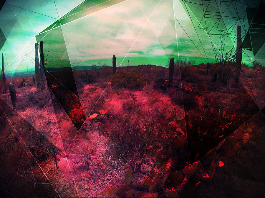 Passion in the Desert by MB Dallocchio Passion in the Desert by MB Dallocchio