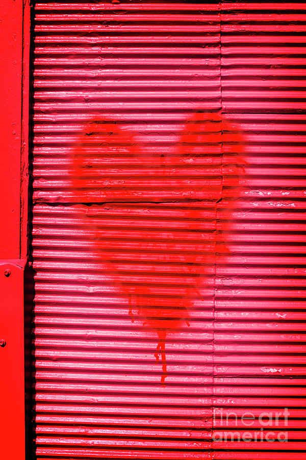 Passionate red heart for a Valentine love Photograph by Jorgo Photography