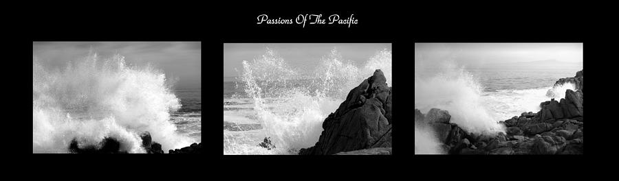 Passions Of The Pacific Triptych  B And W Photograph by Joyce Dickens