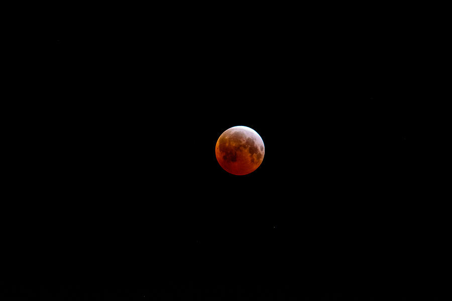 Passover Blood Moon 2015 Photograph by Tikvahs Hope