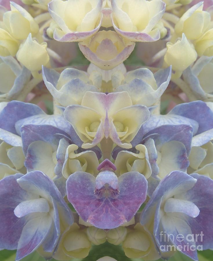Pastel Blooms Photograph by Christina Verdgeline