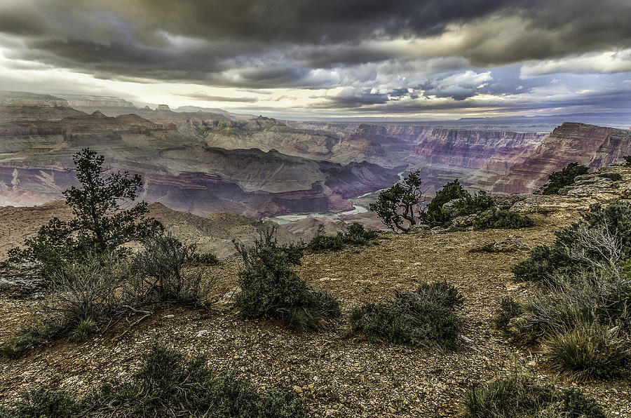 Grand Canyon National Park Photograph - Pastel Canyon by Brian Oakley Photography