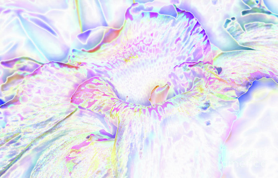 Pastel Cascade Digital Art by Carol Lloyd