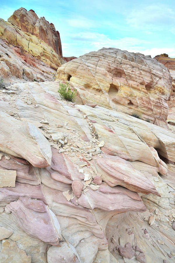 Pastel Colored Sandstone in Valley of Fire Photograph by Ray Mathis