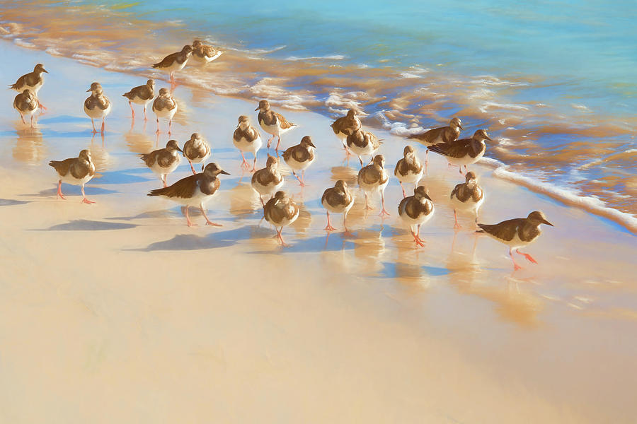 Pastel Crowd and Shadows Photograph by Allan Van Gasbeck