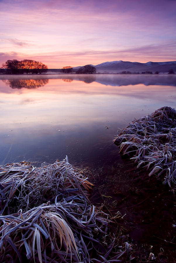 Landscape Photograph - Pastel Dawn by Michael Dawson