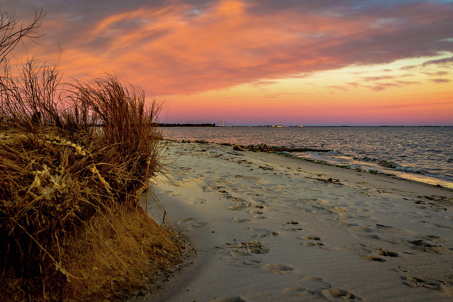 Pastel Delaware Beach Sunset Pyrography by Jodi Lyn Jones