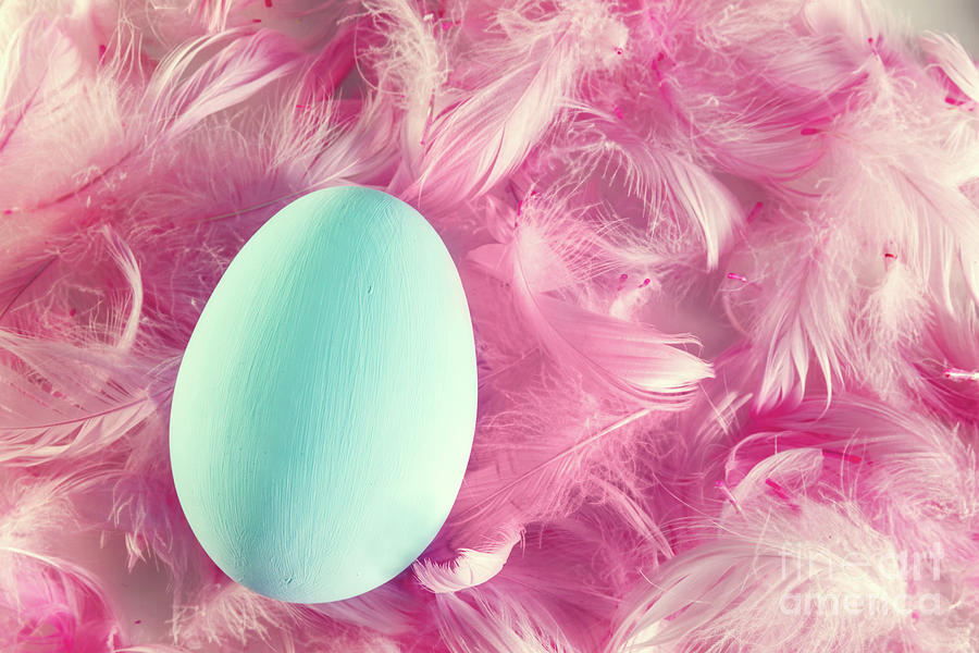 Pastel Easter egg lying on feathers Photograph by Michal Bednarek