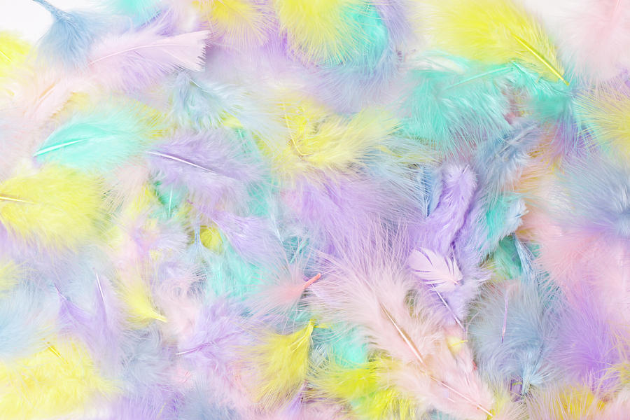 Pastel Feathers  Photograph by Sandra Foster