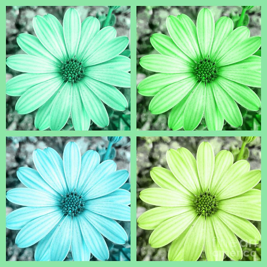 Pastel Floral Collage Photograph