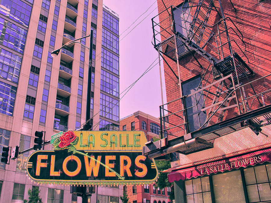 PASTEL FLOWERS La Salle Flower Shop Photograph by William Dey