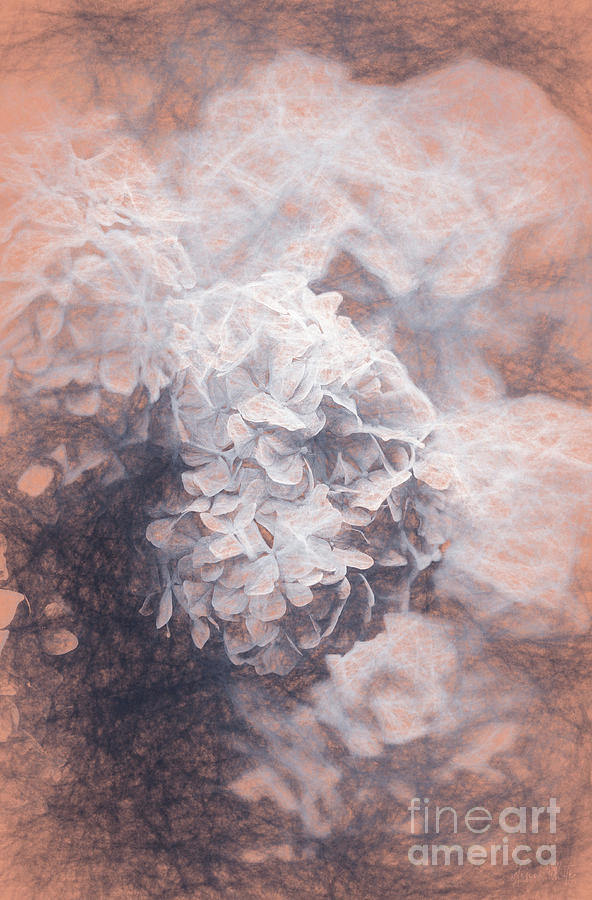 Nature Mixed Media - Pastel Hyrangeas by Helen White