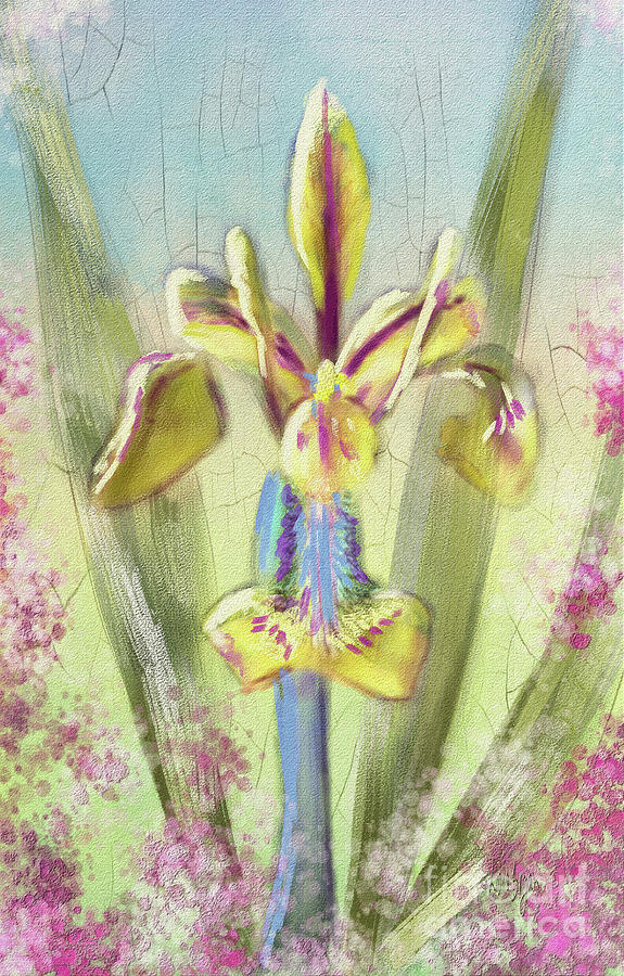Iris Digital Art - Pastel Iris by Lois Bryan