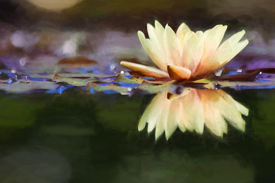 Pastel Water Lily  Photograph by Carol Montoya
