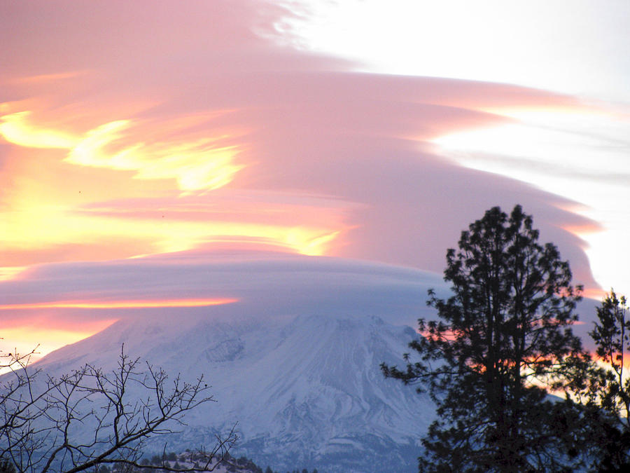 Pastel Morning Photograph by Shannon Petersen - Fine Art America