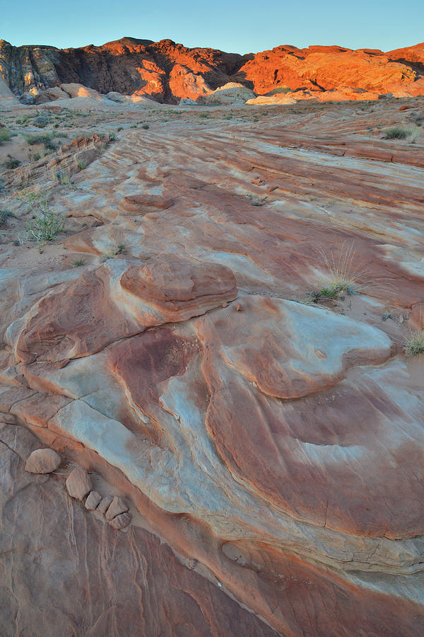 Pastel Mosaic in Valley of Fire Photograph by Ray Mathis
