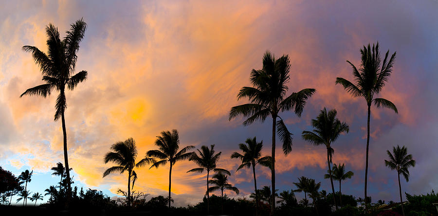Sunset Photograph - Pastel Palms by Sean Davey