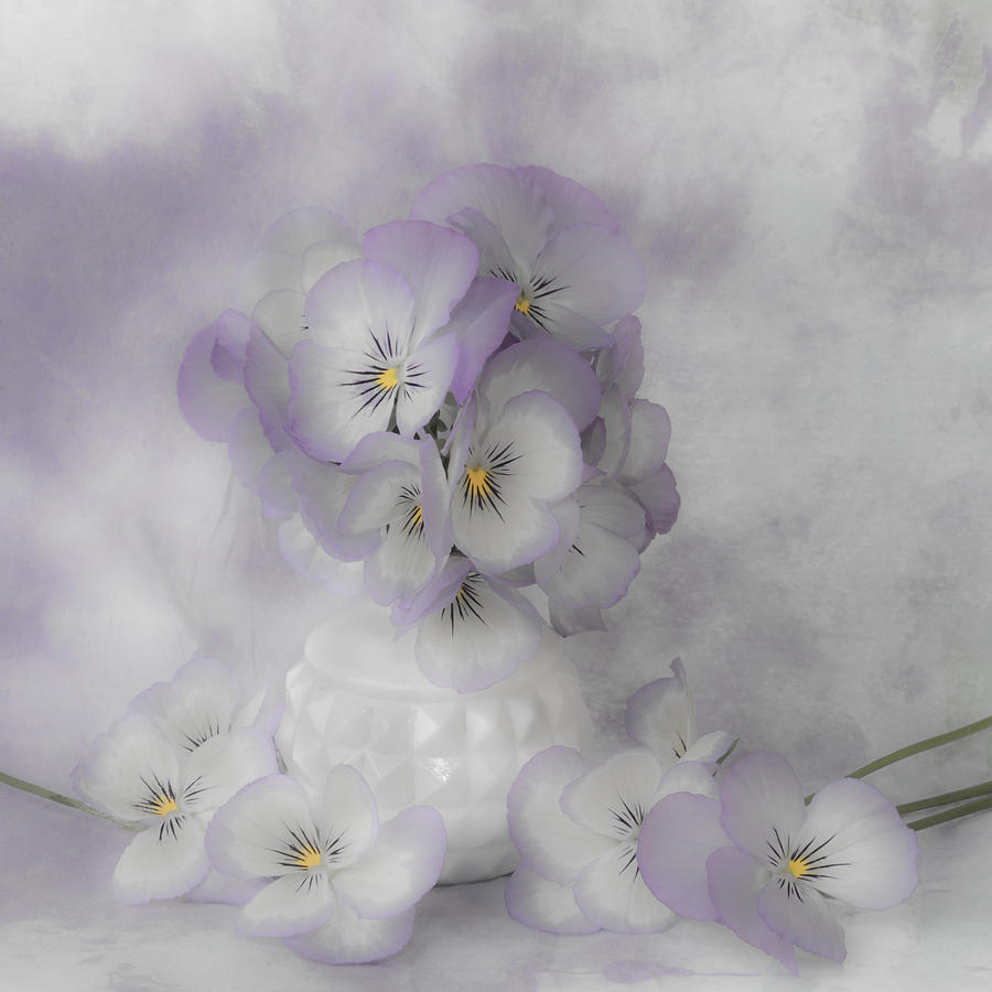 Pastel Pansies Still Life Photograph by Sandra Foster