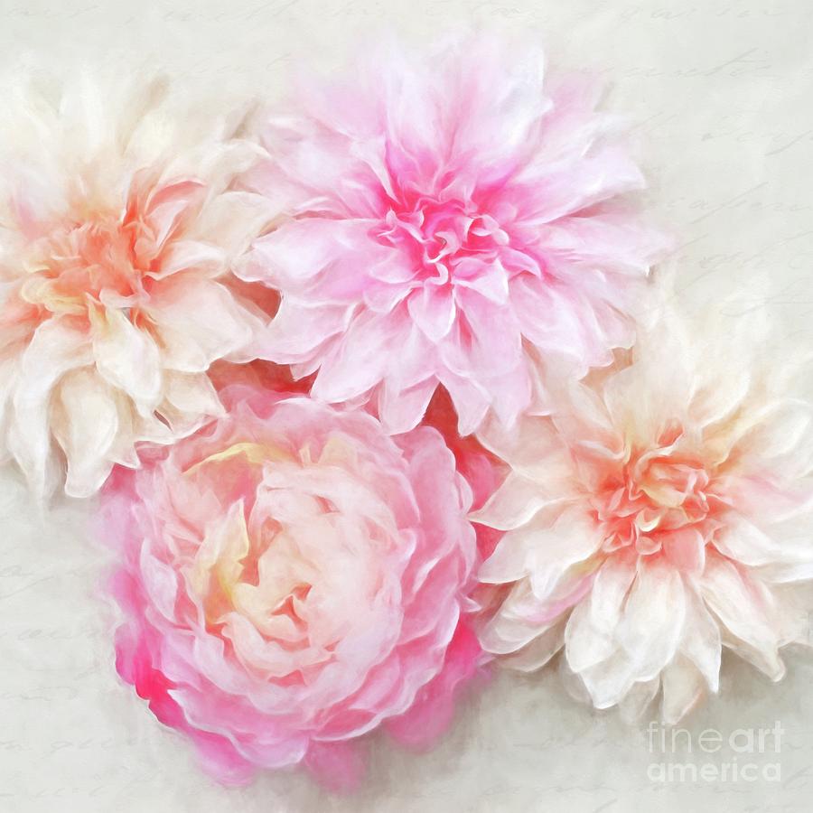 Pastel Peonies Photograph by Sylvia Cook