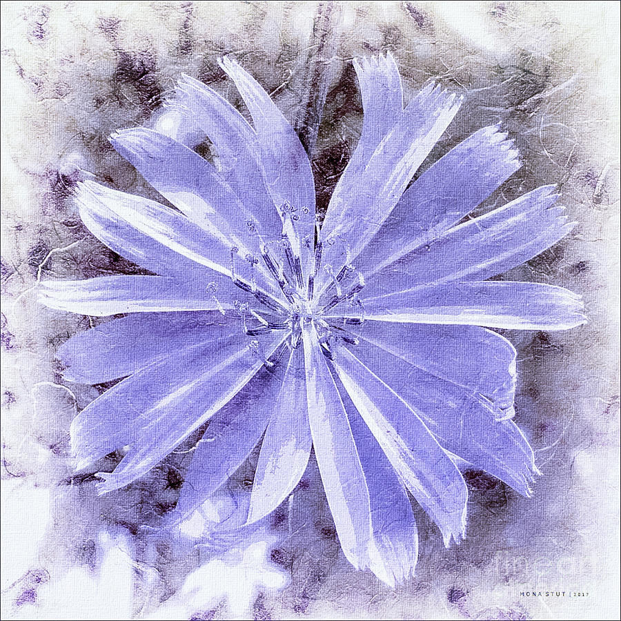 Purple Blue Daisy Digital Art by Mona Stut