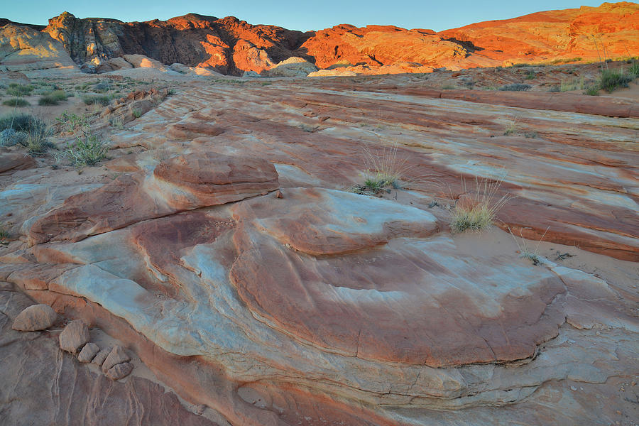 Pastel Sandstone of Wash 2 in Valley of Fire at Sunrise Photograph by Ray Mathis