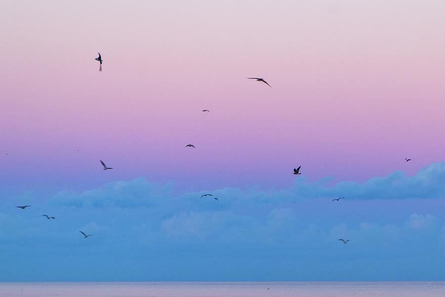 Pastel Sky Photograph by Alan Raasch