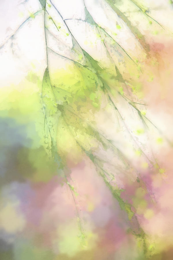 Spring Digital Art - Pastel Spring Whispers by Terry Davis