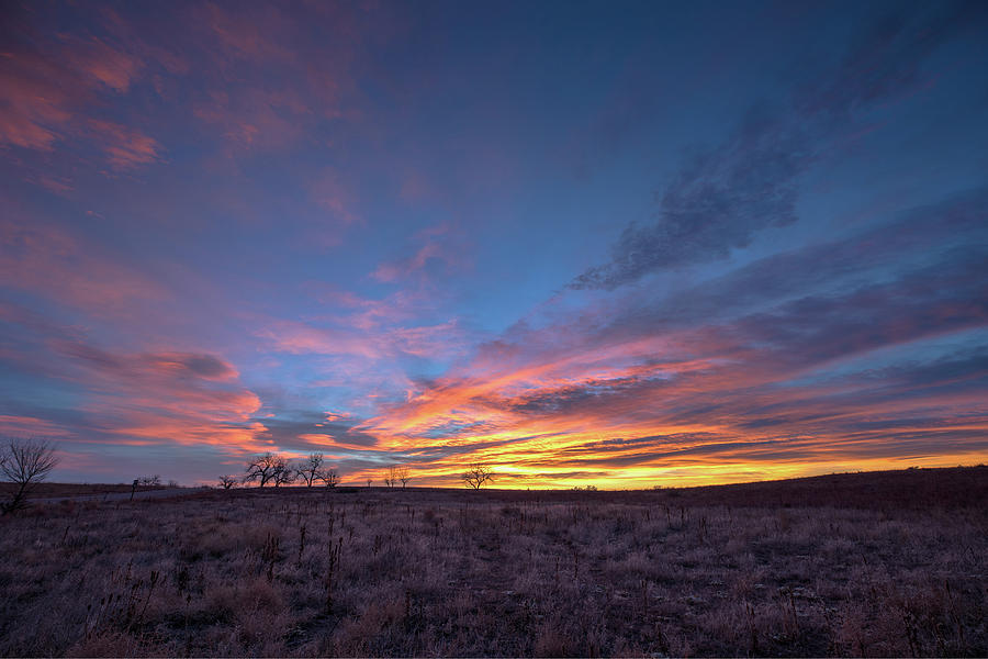 Pastel Sunrise on the Great Plains Photograph by Tony Hake