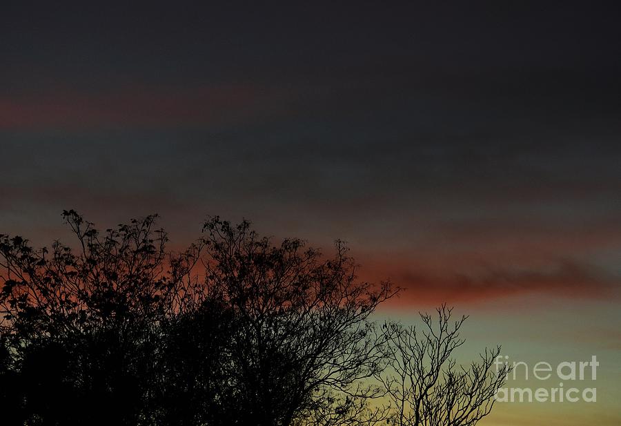 Pastel Sunset Photograph by Angela J Wright