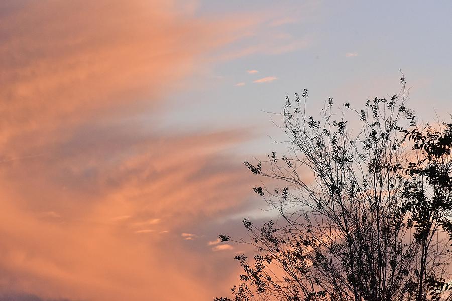 Pastel Sunset II Photograph by Linda Brody