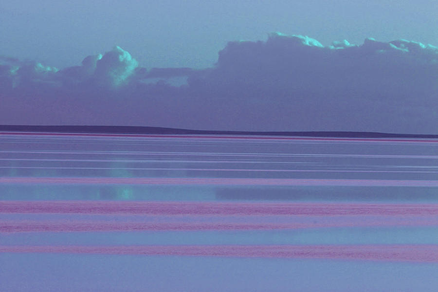 Pastel Sunset Sea Lilac Photograph by Tony Brown
