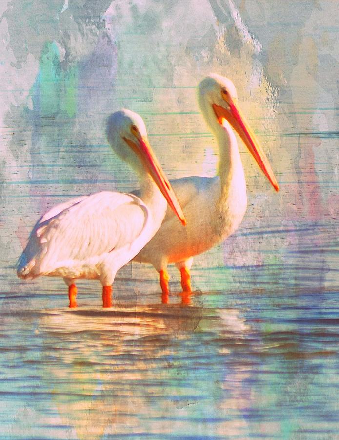 Pastel White Pelicans 1 Photograph by Sheri McLeroy