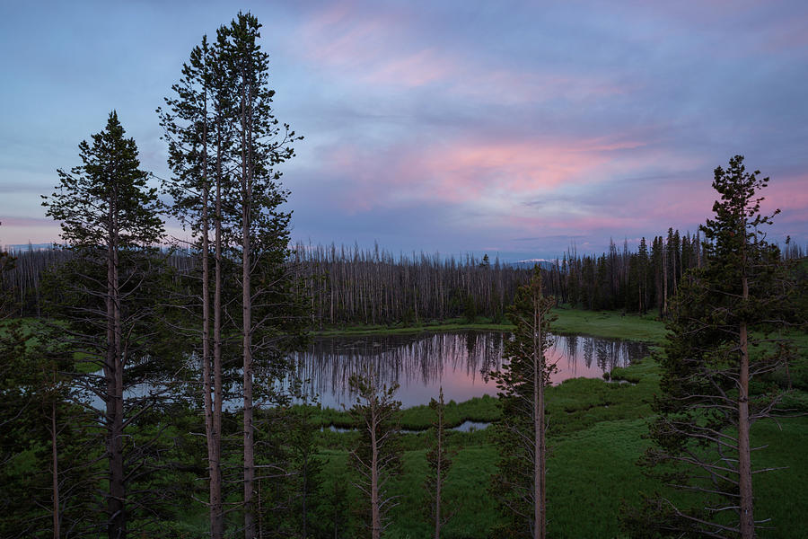 Pastel Yellowstone Photograph by Eilish Palmer