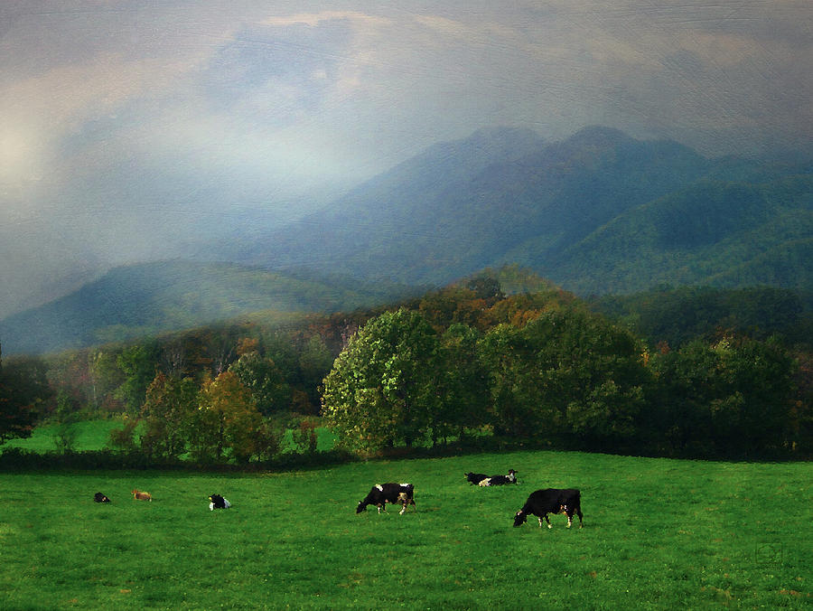 Pastoral Cows Digital Art by Jean Moore